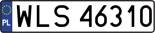 WLS46310