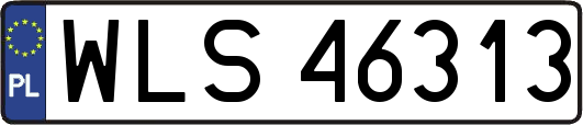 WLS46313