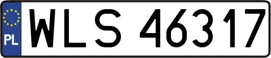 WLS46317