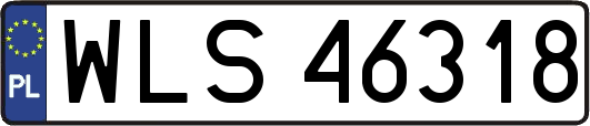 WLS46318