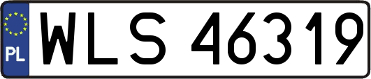 WLS46319