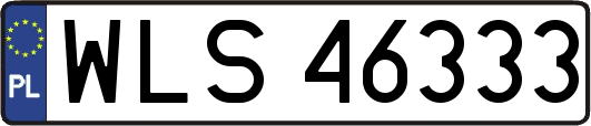 WLS46333