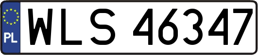 WLS46347