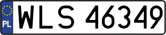 WLS46349