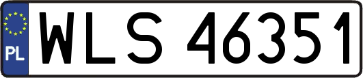 WLS46351