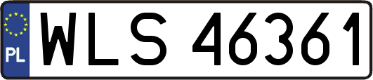 WLS46361