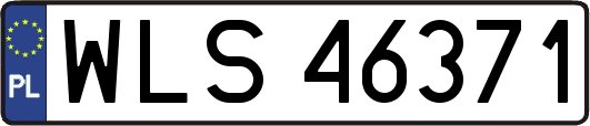 WLS46371