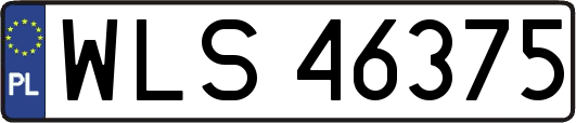 WLS46375