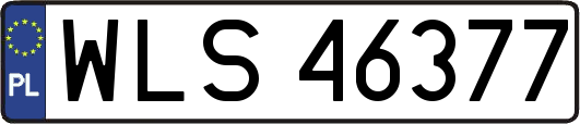 WLS46377