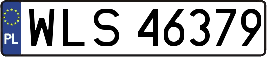 WLS46379