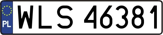 WLS46381