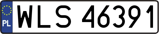 WLS46391