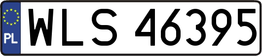 WLS46395