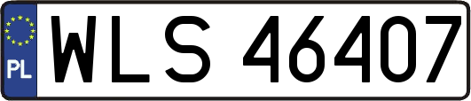 WLS46407
