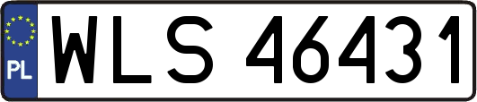 WLS46431