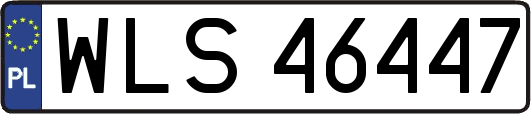 WLS46447