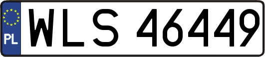 WLS46449