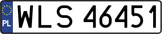 WLS46451