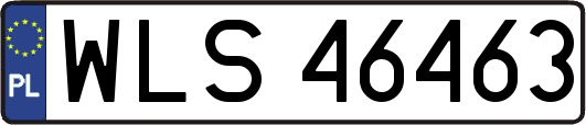 WLS46463
