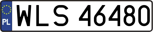 WLS46480