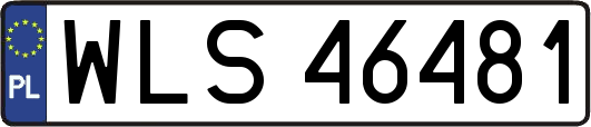 WLS46481