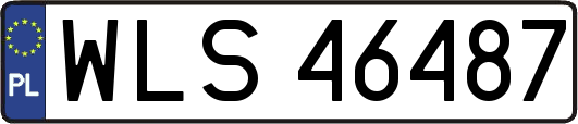 WLS46487