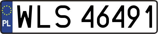 WLS46491