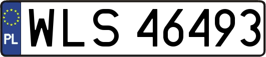 WLS46493