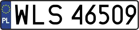 WLS46509