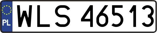 WLS46513