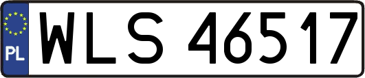 WLS46517