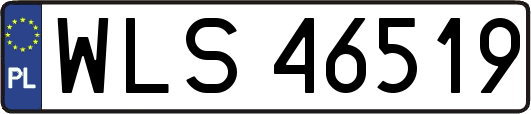 WLS46519