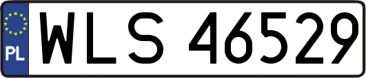 WLS46529