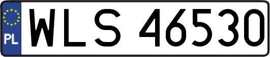 WLS46530