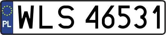 WLS46531