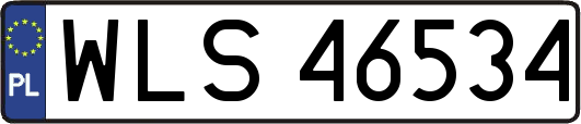 WLS46534