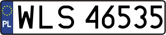 WLS46535