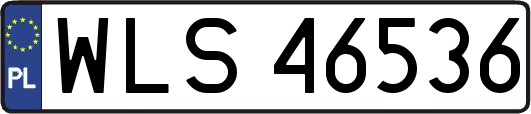 WLS46536