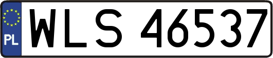WLS46537