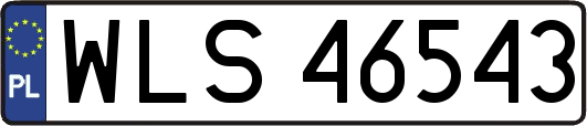 WLS46543