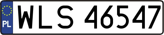 WLS46547