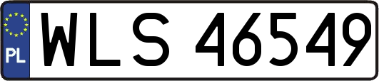 WLS46549
