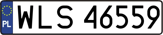 WLS46559