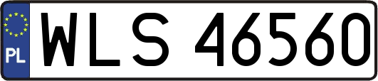 WLS46560
