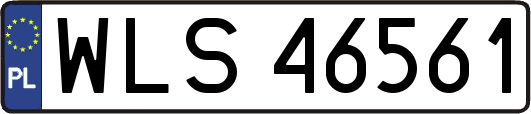 WLS46561