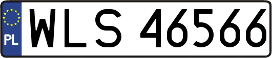 WLS46566