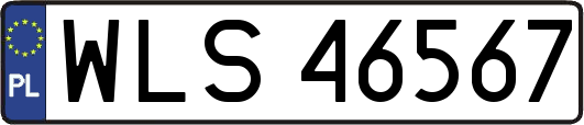 WLS46567