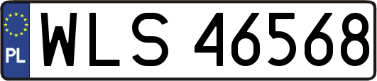 WLS46568