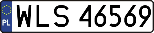 WLS46569