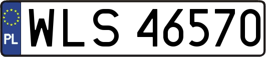 WLS46570